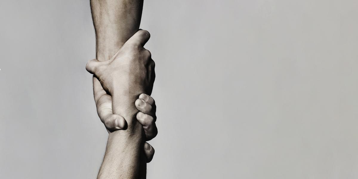 Can the Market Economy Be Trusted?