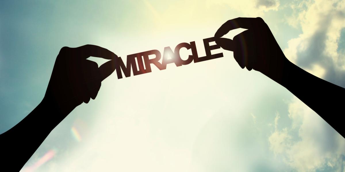 The Market Miracle | Mises Institute The Market Miracle | Mises Institute