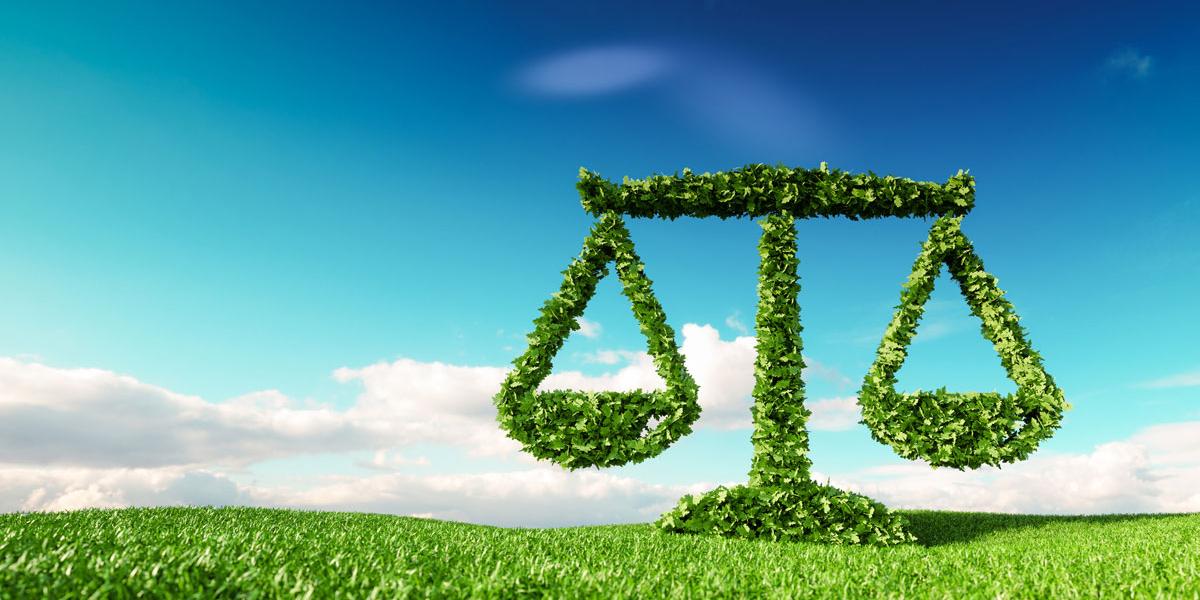 NextImg:Introduction to Natural Law 