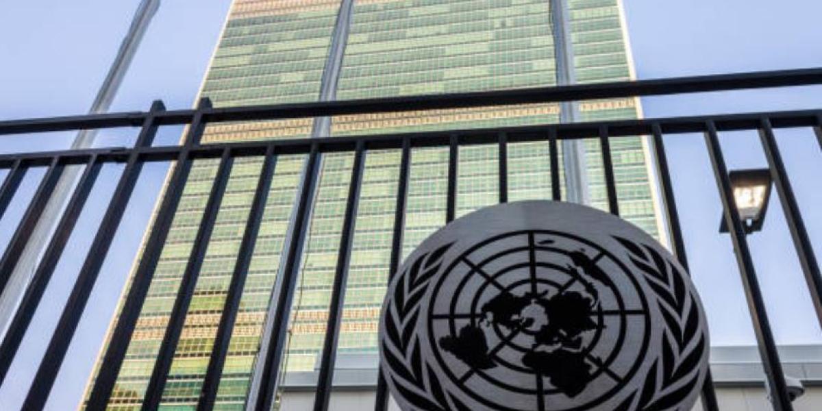 The UN's Plans for More 
