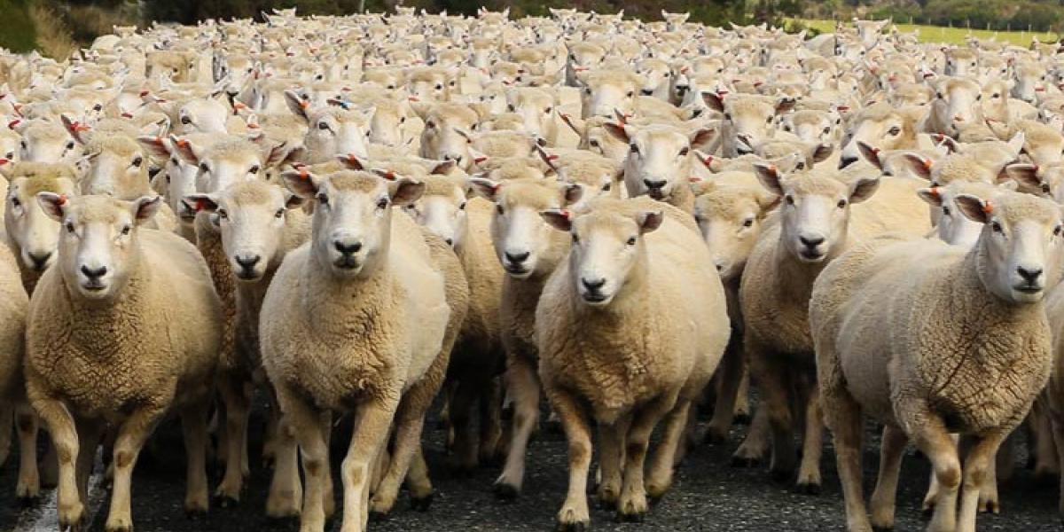 The Dystopian Bubble: George Orwell Meets Charles Mackay | Mises Institute