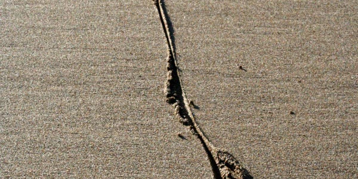 The Prospects for Soft Secession in America | Mises Institute