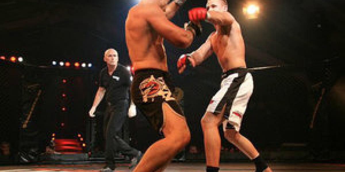 How a Labor Union Keeps Mixed Martial Arts Illegal in New York Mises