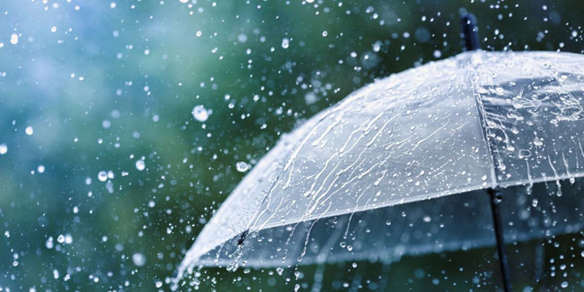 NextImg:The "Acid Rain" Scare and the Science-Industrial Complex